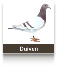 sel_duiven.png