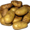 tuin_aardappelen1.png